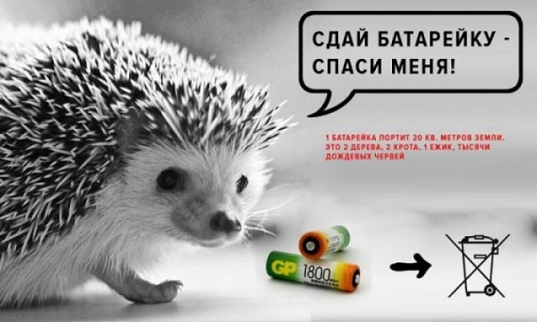 Экологическая акция